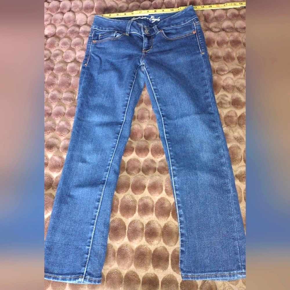 American eagle size 2 artist Capri pants